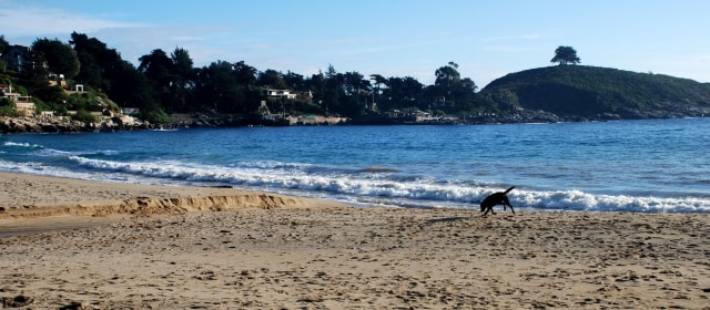 Pantai Zapallar di Chile (Foto: Flickr/vinka bravo)