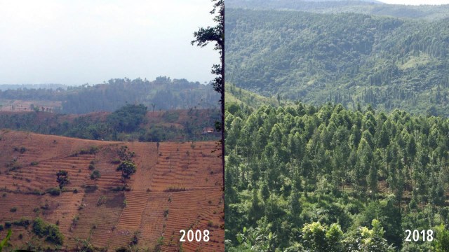 Kondisi tahun 2008 dan 2018 TN Gunung Gede Pangrango. (Foto: Conservation International Indonesia)