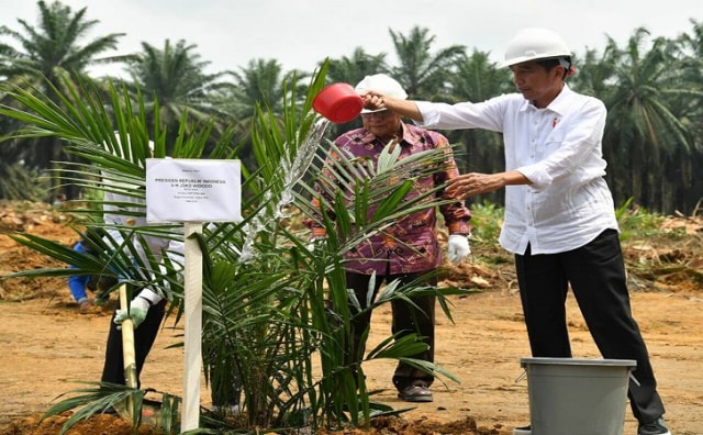 Pak Jokowi, Please Bayarlah Utang Rp 2,6 Triliun ke Rakyat Riau