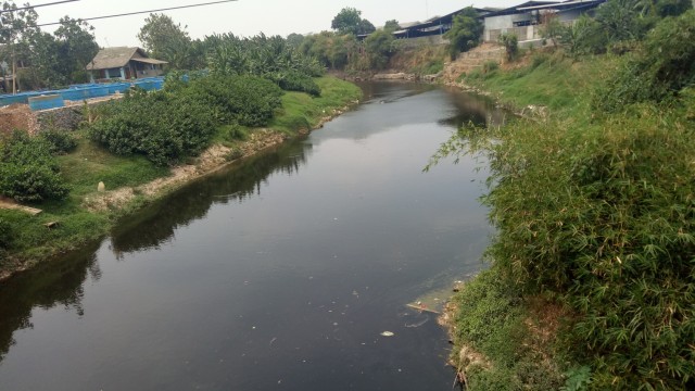 Ada Buaya, Warga Sekitar Sungai Cileungsi, Bantargebang, Tak Terganggu ...