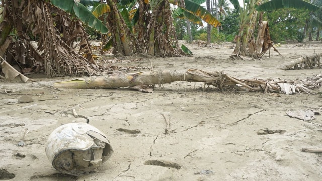 Desa Langaleso, Kecamatan Dolo, Kabupaten Sigi, Sulawesi Tengah yang terkena likuifaksi. (Foto: Raga Imam/kumparan)