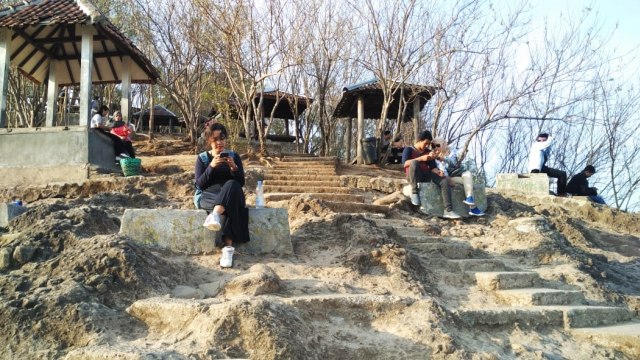 Suasana Kebun Buah Mangunan, Kecamatan Dlingo, Bantul, Daerah Istimewa Yogyakarta (DIY), Minggu (7/9/2018). (Foto: Arfiansyah Panji Purnandaru/kumparan)