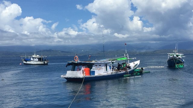 Suasana nelayan di TPI, Labuan Bajo, Donggala. (Foto: Moh Fajri/kumparan)