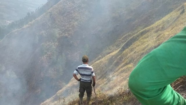 Kebakaran yang terjadi di Gunung Andong. (Foto: Dok. Kepala Basecamp Sawit Gunung Andong Tekno Aji)