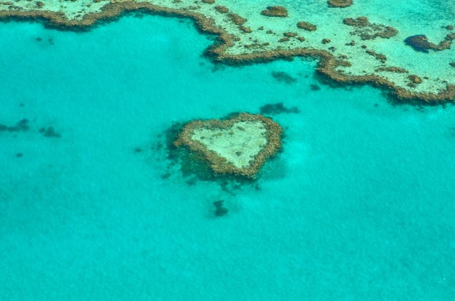 Terumbu karang yang berbentuk hati (Foto: Pixabay)
