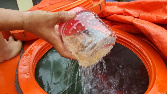 Penangkapan 61.200 bibit Lobster di Jambi.  (Foto: Dok. Polri)