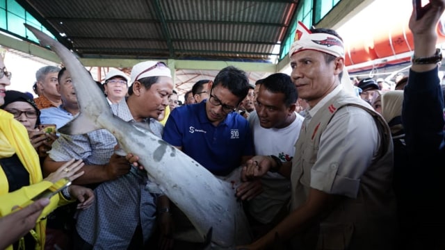 Sandiaga Uno melihat hasil tangkapan ikan para nelayan di Indramayu. (Foto: Dok. Tim Sandiaga Uno)