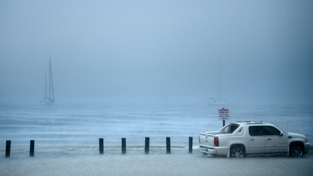 Badai Michael di Florida, AS (Foto: AFP/Brendan Smialowski )