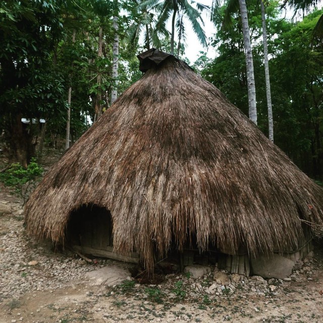 Rumah bulat masyarakat adat Mollo (Foto: @bandanaku)