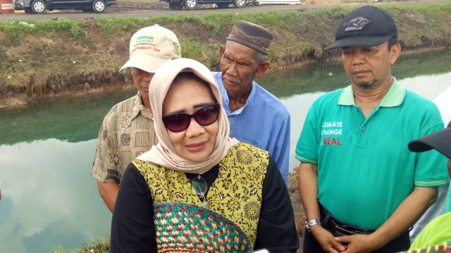 Indah Megawati, Direktur Perlindungan dan Perluasan Lahan Kementerian Pertanian saat meninjau lahan pertanian di Desa Jejangkit Muara. (Foto: Maulana Ramadhan/kumparan)