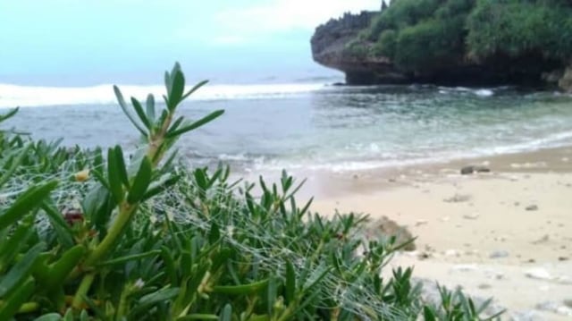 Pantai Baru, Kecamatan Sanden, Bantul, Yogyakarta (Foto: Tugu Jogja)