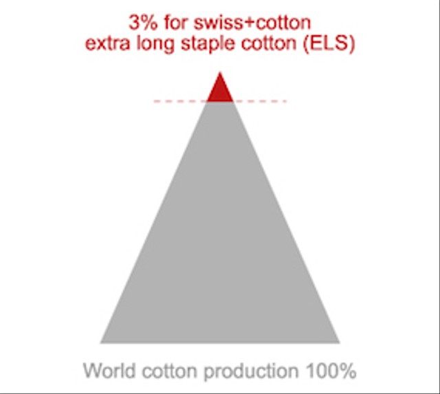 Piramida jumlah produksi Swiss Cotton (http:labes.swisstex.ch)