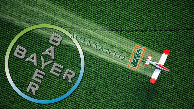 Kekalahan Monsanto di San Fransisco, Babak Baru Perlawanan Publik  (2)