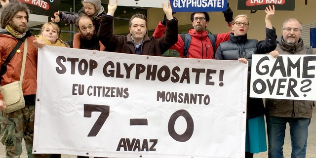 Kekalahan Monsanto di San Fransisco, Babak Baru Perlawanan Publik  (4)