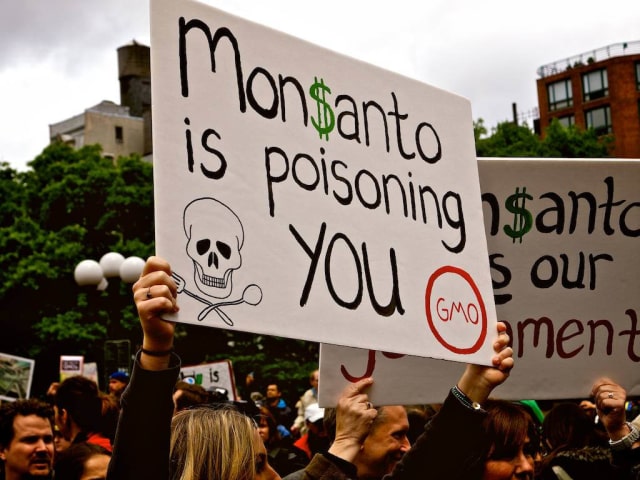 Demo Monsanto (Foto: flickr)