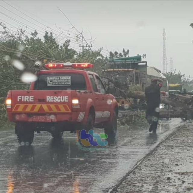 Pohon Tumbang Di Jalan Raya Kalitidu Bojonegoro Sempat Bikin Arus Lau Lintas Macet Kumparan Com