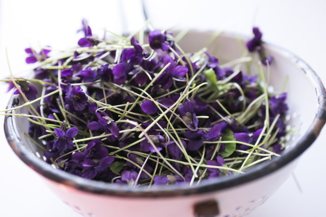 Edible flower (Foto: Shutter Stock)