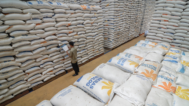 Petugas memeriksa stok beras di gudang Bulog. Foto: ANTARA/Raisan Al Farisi