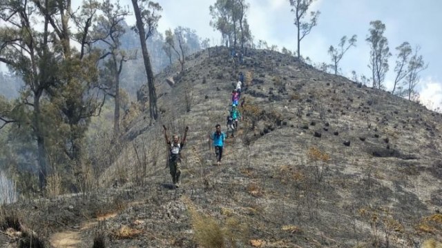 Kebakaran Hutan di Gunung Arjuno Diduga Disengaja