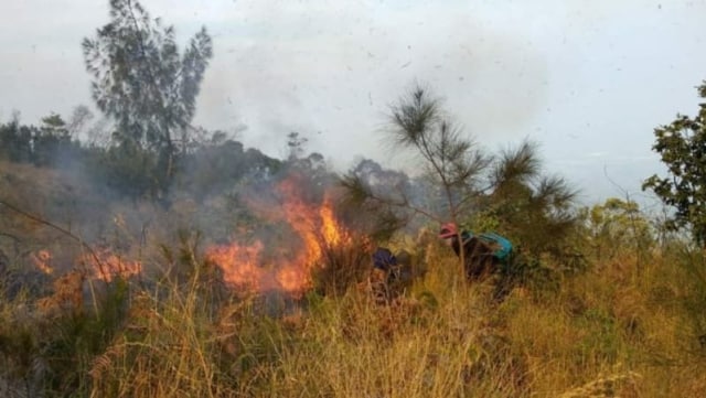 Kebakaran hutan di Gunung Arjuno (Foto: istimewa/wartabromo)