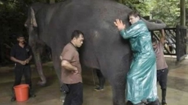 7 Pekerjaan Aneh tapi Gajinya Selangit (4)