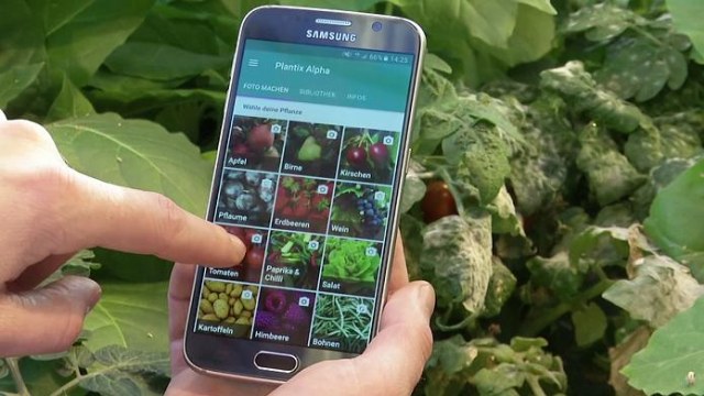 Teknologi AI Menolong Petani Kecil Lebih Mandiri dan Organik (1)