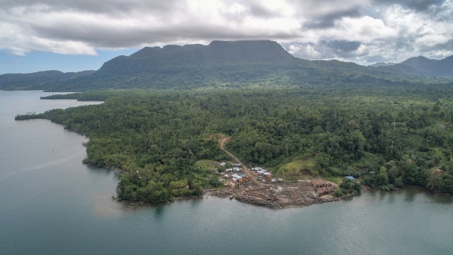 Foto udara operasi penebangan di Kepulauan Solomon. Foto: Alessio Bariviera/Global Witness via REUTERS