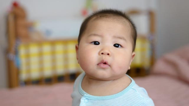 Ilustrasi bayi gemuk. Foto: Shutterstock