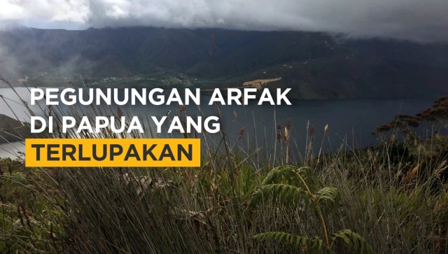 Pegunungan Arfak di Papua yang Terlupakan. (Foto: Nurul Nur Azizah/kumparan)