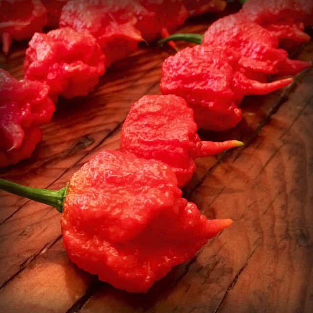 Unique Facts : Do You Have The Guts To Eat This Hottest Chili Peppers In The World? (2)
