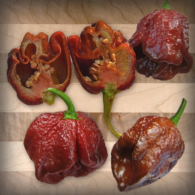 Unique Facts : Do You Have The Guts To Eat This Hottest Chili Peppers In The World? (3)