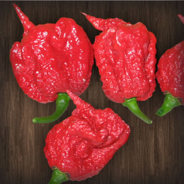 Unique Facts : Do You Have The Guts To Eat This Hottest Chili Peppers In The World? (5)