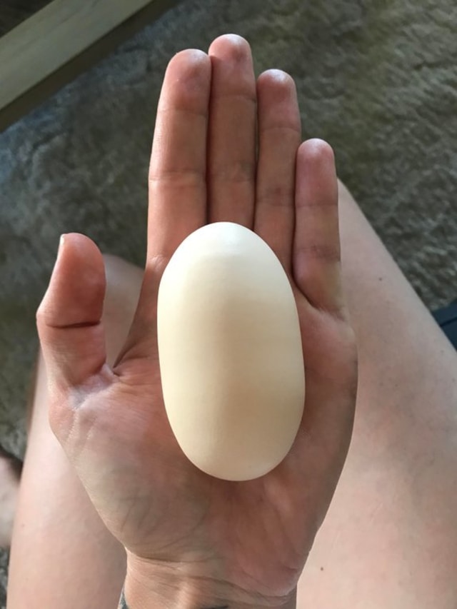 Telur 'raksasa' dari ayam (Foto: Ellie McGrath)