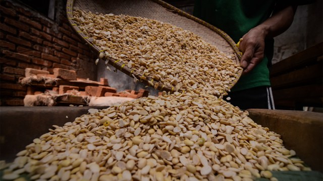Pekerja mengeringkan biji kedelai untuk dijadikan tempe di rumah produksi tempe. Foto: ANTARA FOTO/Raisan Al Farisi