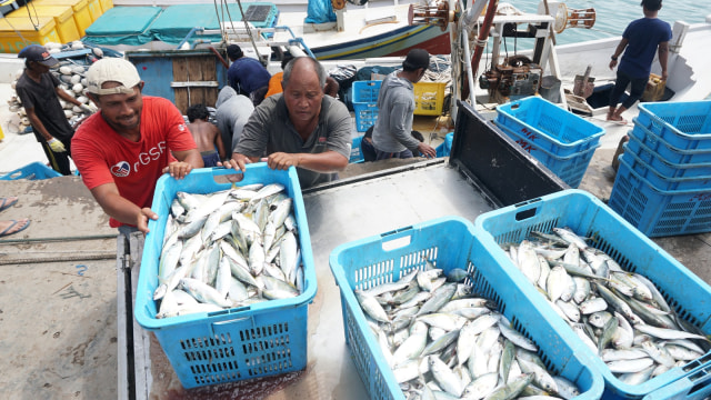 Suasana di tempat pelelangan ikan di Pangkal Balam, Pangkal Pinang, Bangka. (Foto: Nugroho Sejati/kumparan)