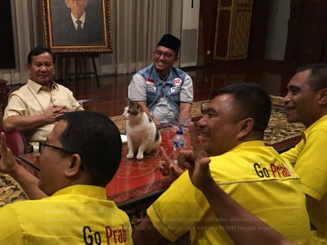 5 Potret Cinta Prabowo ke Bobby Si Kucing Kesayangan (2)