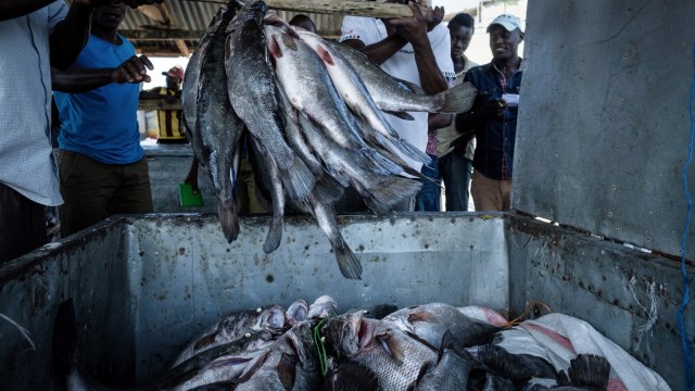 Suasana di Pulau Migingo di antara Kenya dan Uganda. (Foto: AFP/YASUYOSHI CHIBA)