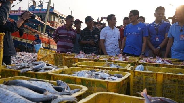 Calon Wakil Presiden nomor urut 02 Sandiaga Salahudin Uno (kanan) mengunjungi Tempat Pelelangan Ikan (TPI) Tegalsari, Tegal.  Foto: Dok. Istimewa
