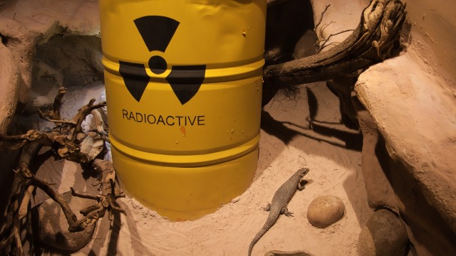 Ilustrasi zat radioaktif. (Foto: minka2507 via pixabay)