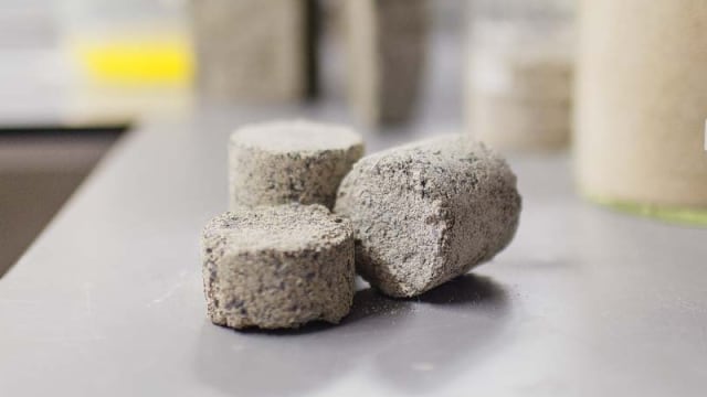 Batu bata dari urine manusia. (Foto:  University of Cape Town)