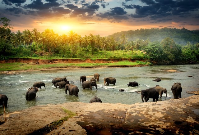 Sri Lanka (Foto: ShutterStock)