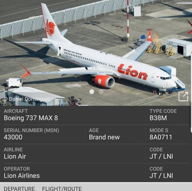 Lion Air, Membawamu Jauh Tinggi (1262764)