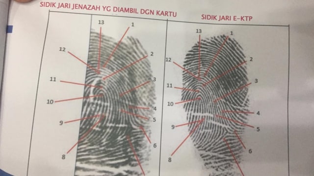 Jannatun Cintya Dewi, korban Lion Air yang sudah teridentifikasi (Foto: Marissa Krestianti/kumparan)