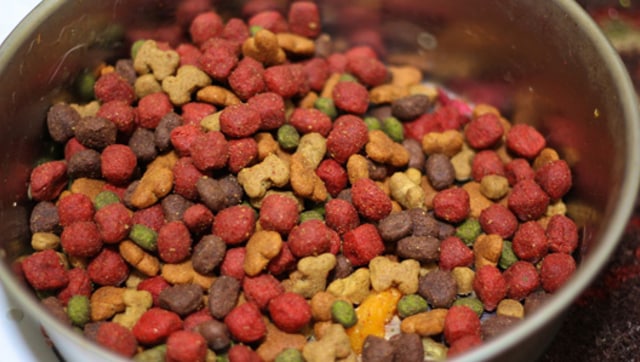 Ilustrasi makanan anjing (Foto: flickr/ DoggieDocs Pet store)