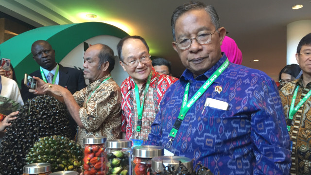 Menteri Koordinator Bidang Perekonomian Darmin Nasution (kanan) pada Palm Oil Conference (IPOC) 2018 di Nusa Dua, Bali. (Foto:  Selfy Sandra Momongan/kumparan)