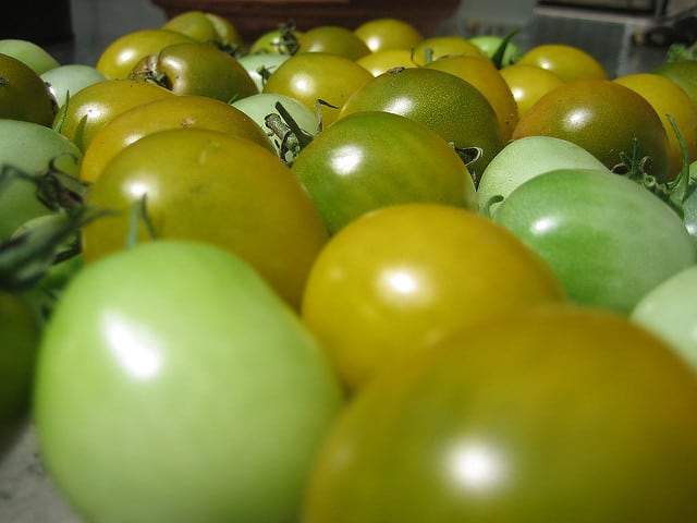 Tomat mentah (Foto: flickr/ sarahheiman)