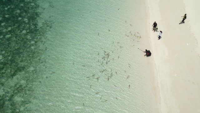 Pulau Tinabo (Foto: Cornelius Bintang/kumparan)