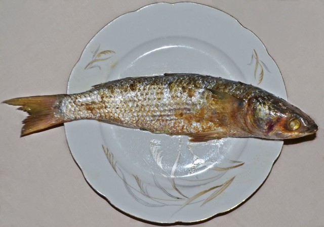 Ikan Fesikh. (Foto: Wikimedia Commons)