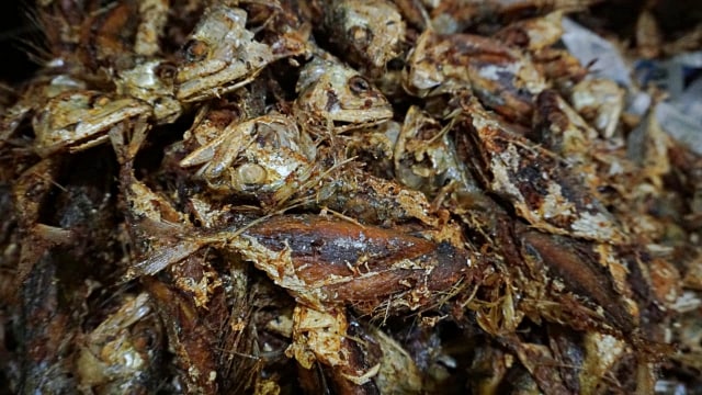 Ikan goreng. (Foto: Fitra Andrianto/kumparan)