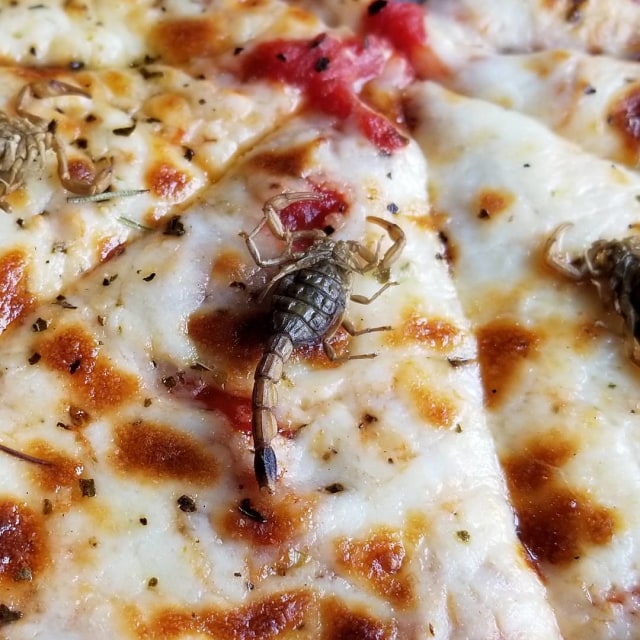 Pizza racun reptil (Foto: Instagram/ @tiedyekat)